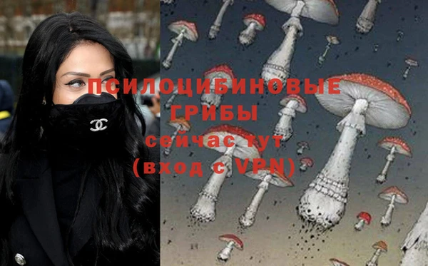 MDMA Premium VHQ Алексеевка