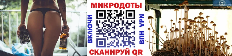 Псилоцибиновые грибы мицелий  купить наркоту  Лукоянов 